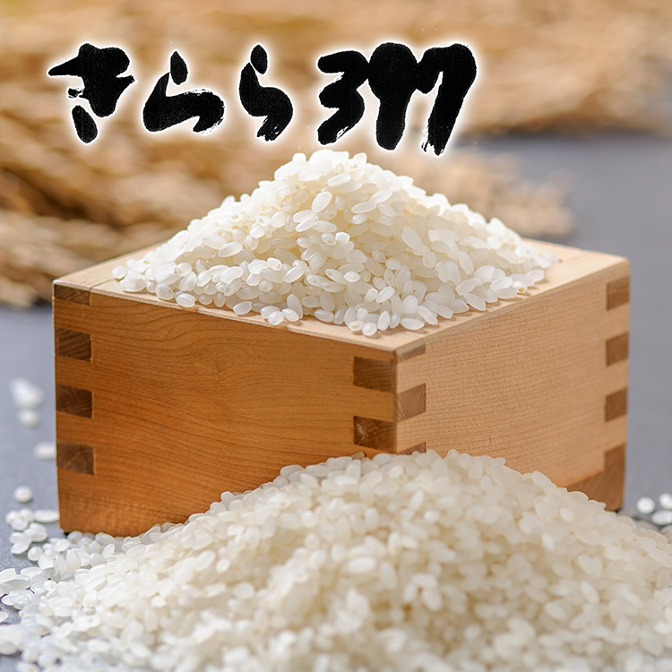 きらら397